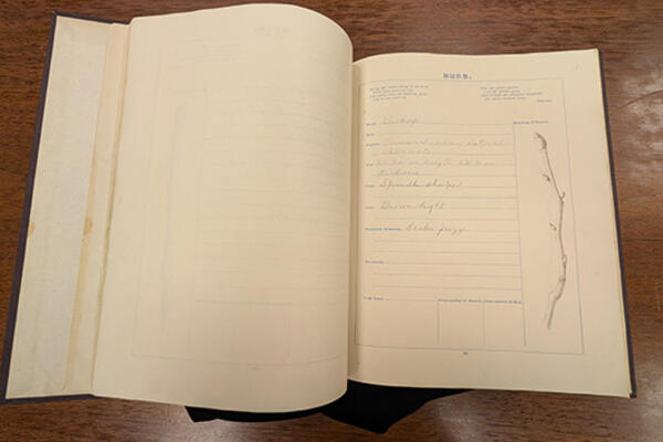 Federally funded conservation treatment helps preserve Wright brothers’ family history