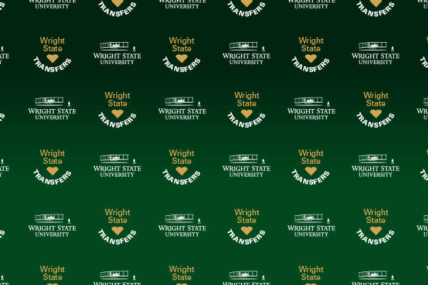 Transfer Virtual Background Image