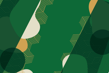 housing renewal background