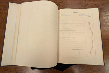 Federally funded conservation treatment helps preserve Wright brothers’ family history