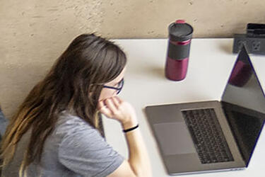 photo of a person looking at a laptop