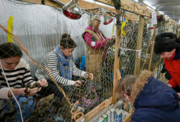 Ukrainians making a camoflauge net