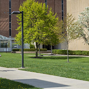 photo of a person riding a bicycle on campus