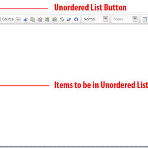 Unordered List screenshot