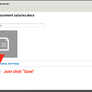 File properties edit screen, shown after a file is uploaded. Just click save.
