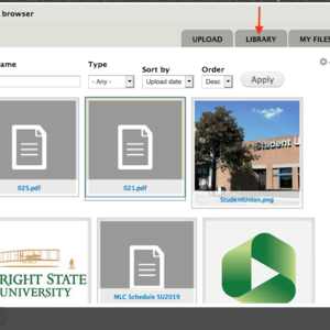 Media browser screenshot of Library tab, showing several files to choose from.