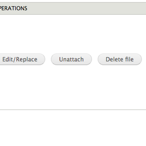 Screenshot of user right-clicking the View button after a particular file upload
