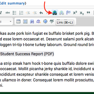 Screenshot of Body field editor, with link text highlighted, and position of Link button shown (Control-L or Command-L on keyboard)
