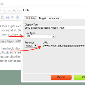 Screenshot of Add Link dialog, on tab Link Info, with fields Display Text, Link Type, Protocol, and URL