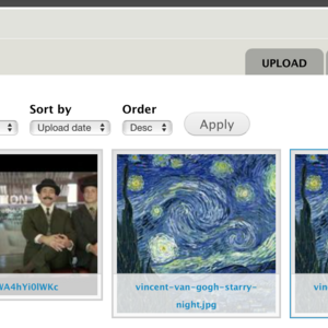 Screenshot of Media Upload Library tab: Filters for file name and type, and thumbnails of assets