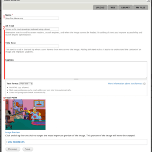 Screenshot of Media Upload file properties tab