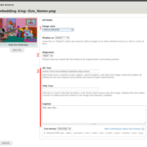 Screenshot of Media Upload embed options tab