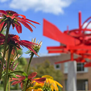 summer on campus