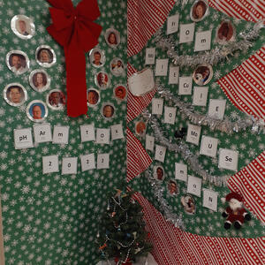photo of Pharmacology & Toxicology from Sprinkles and Sparkless Door Decorating Contest