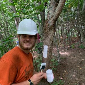 photo of student painting the tree as a symbol 