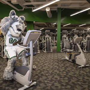 photo of Rowdy in fitness center 